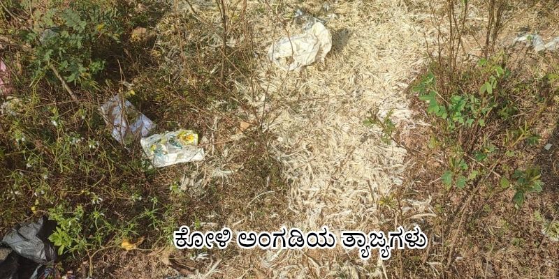 ಮೌಲ್ಯಧಾರಿತ ಶಿಕ್ಷಣದಿಂದಲೇ ಸುಸಂಸ್ಕೃತ ಸಮಾಜ ನಿರ್ಮಾಣ 20251229 000028 0000835254907294145543 ಶರಾವತಿ ಮಡಿಲಿಗೆ ಪ್ಲಾಸ್ಟಿಕ್ ತ್ಯಾಜ್ಯ,ಗಬ್ಬೆದು ನಾರುತ್ತಿದೆ ಶಾಂತ ಕಣಿವೆ.