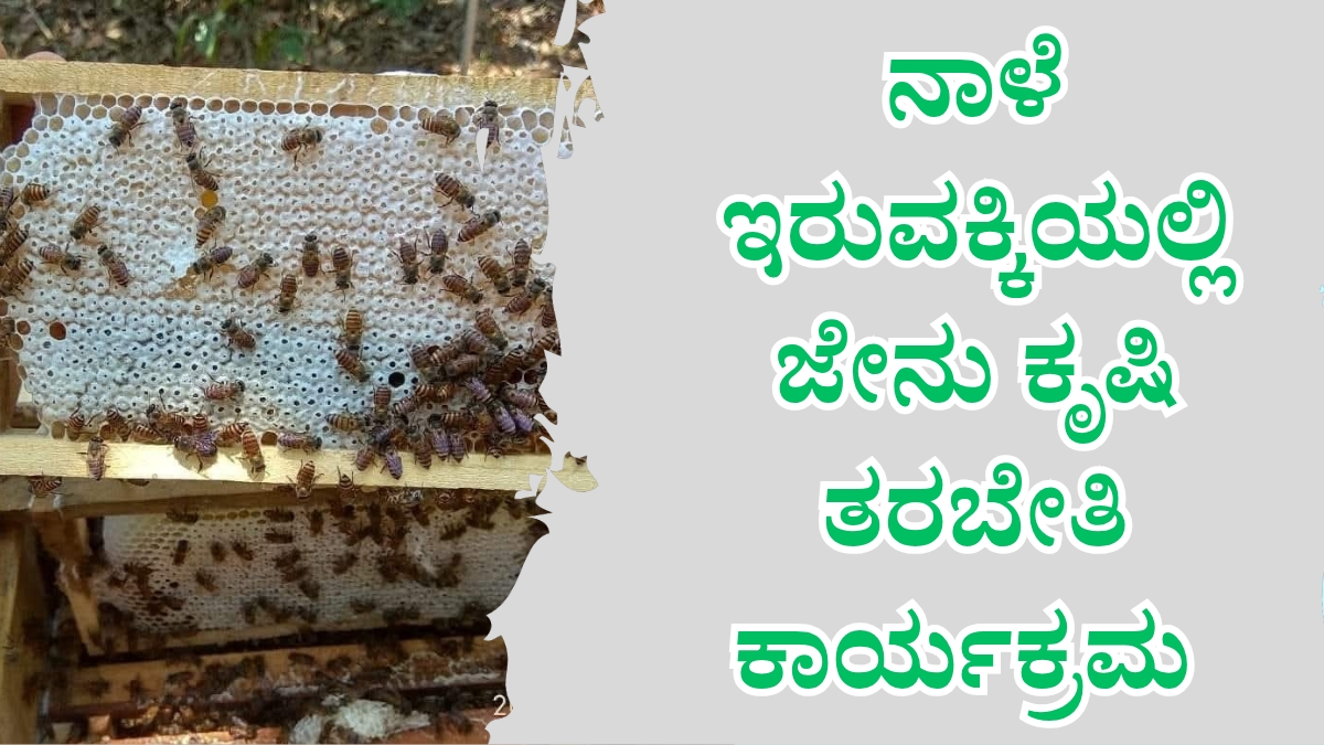 ಶ್ರಮ–ಸಾಧನೆಯ ಫಲ ರಾಜ್ಯಮಟ್ಟದ ದೇಹದಾರ್ಢ್ಯದಲ್ಲಿ ಗಣೇಶ್ ರಾವ್ ಮಿಂಚು 20251222 170139 0000 ರಾಷ್ಟ್ರೀಯ ಕೃಷಿಕರ ದಿನಾಚರಣೆಯ ಪ್ರಯುಕ್ತ ಜೇನು ಕೃಷಿ ರೈತರಿಗೆ ತರಬೇತಿ ಕಾರ್ಯಕ್ರಮ