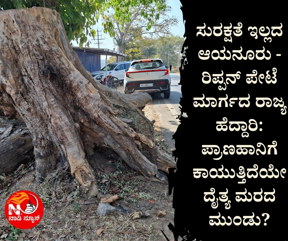 1417 ಸುರಕ್ಷತೆ ಇಲ್ಲದ ಆಯನೂರು - ರಿಪ್ಪನ್ ಪೇಟೆ ಮಾರ್ಗದ ರಾಜ್ಯ ಹೆದ್ದಾರಿ: ಪ್ರಾಣಹಾನಿಗೆ ಕಾಯುತ್ತಿದೆಯೇ ದೈತ್ಯ ಮರದ ಮುಂಡು?