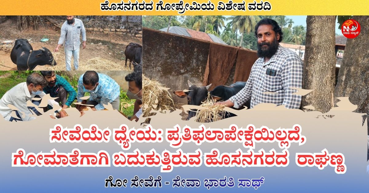 NAADI NEWS 20260101 142926 0000 ಸೇವೆಯೇ ಧ್ಯೇಯ: ಪ್ರತಿಫಲಾಪೇಕ್ಷೆಯಿಲ್ಲದೆ, ಗೋಮಾತೆಗಾಗಿ ಬದುಕುತ್ತಿರುವ ಹೊಸನಗರದ  ರಾಘಣ್ಣ