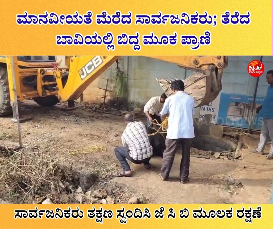 NAADI NEWS 20260102 215241 0000 ಮಾನವೀಯತೆ ಮೆರೆದ ಸಾರ್ವಜನಿಕರು; ತೆರೆದ ಬಾವಿಯಲ್ಲಿ ಬಿದ್ದ ಮೂಕ ಪ್ರಾಣಿ- ಗೋವಿನ ರಕ್ಷಣೆ