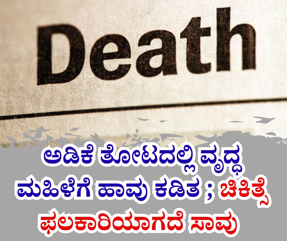NAADI NEWS 20260124 120508 0000 ಅಡಿಕೆ ತೋಟದಲ್ಲಿ ವೃದ್ಧ ಮಹಿಳೆಗೆ ಹಾವು ಕಡಿತ ; ಚಿಕಿತ್ಸೆ ಫಲಕಾರಿಯಾಗದೆ ಸಾವು