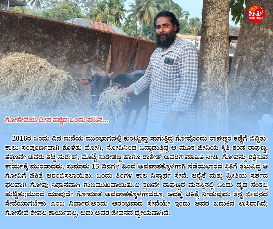 naadi news 20260101 140307 00007576380863777272303 ಸೇವೆಯೇ ಧ್ಯೇಯ: ಪ್ರತಿಫಲಾಪೇಕ್ಷೆಯಿಲ್ಲದೆ, ಗೋಮಾತೆಗಾಗಿ ಬದುಕುತ್ತಿರುವ ಹೊಸನಗರದ  ರಾಘಣ್ಣ