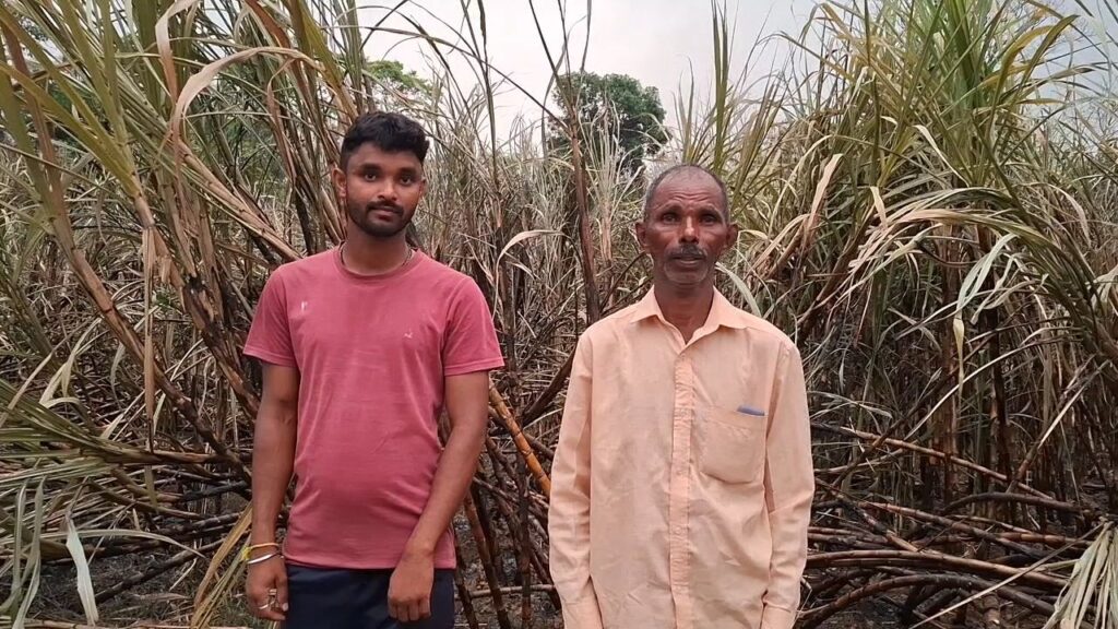 ಹೆದ್ದಾರಿಪುರ: ಕಲ್ಲೂರು ಗ್ರಾಮದಲ್ಲಿ ಕಬ್ಬಿನ ಗದ್ದೆಗೆ ಆಕಸ್ಮಿಕ ಬೆಂಕಿ: ರೈತನಿಗೆ ಲಕ್ಷಾಂತರ ನಷ್ಟ 2 20260328 1838128438537702422648474 ಹೆದ್ದಾರಿಪುರ: ಕಲ್ಲೂರು ಗ್ರಾಮದಲ್ಲಿ ಕಬ್ಬಿನ ಗದ್ದೆಗೆ ಆಕಸ್ಮಿಕ ಬೆಂಕಿ: ರೈತನಿಗೆ ಲಕ್ಷಾಂತರ ನಷ್ಟ