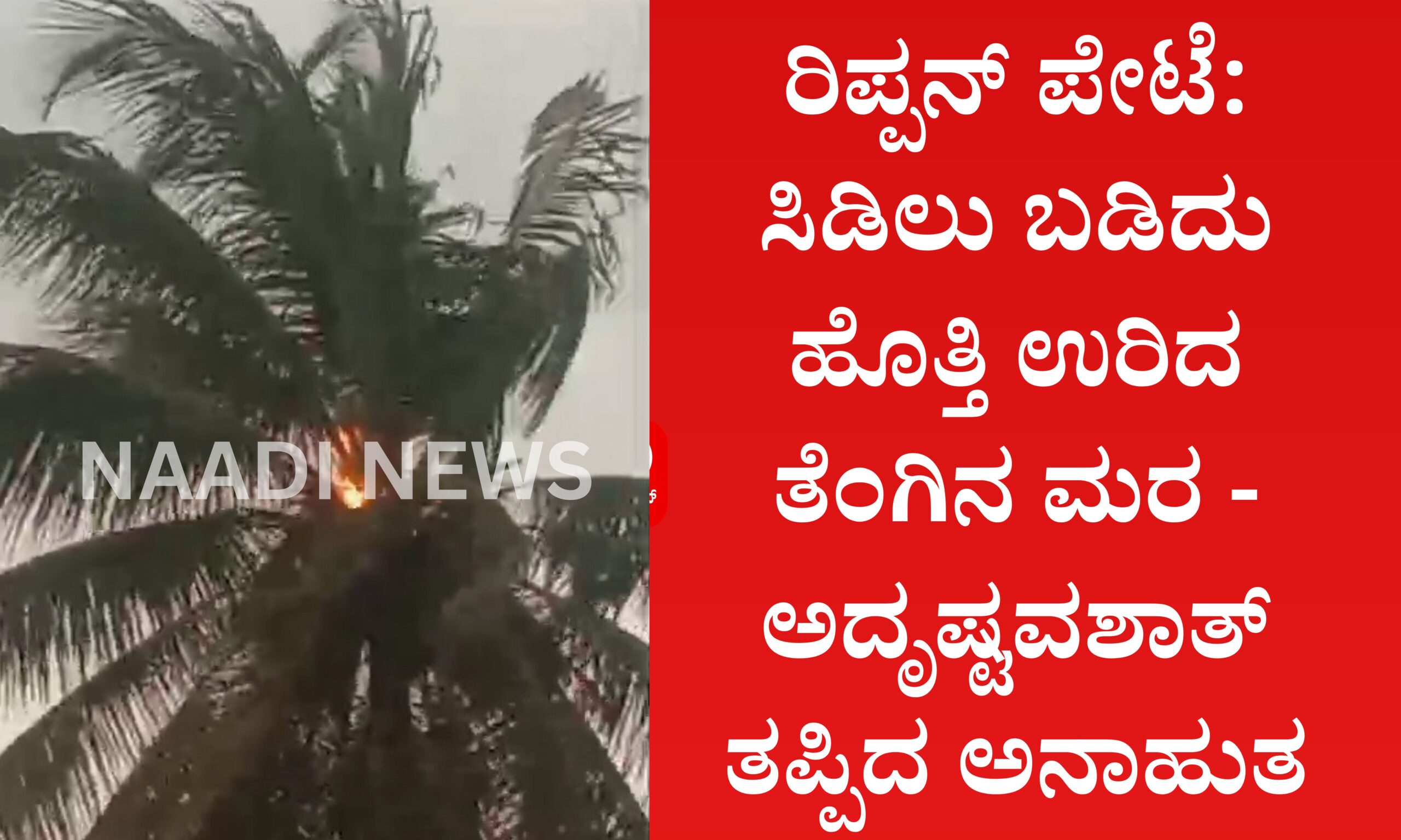 Blue and Red Voter Education Banner 20260318 194251 0000 scaled ರಿಪ್ಪನ್ ಪೇಟೆ: ಸಿಡಿಲು ಬಡಿದು ಹೊತ್ತಿ ಉರಿದ ತೆಂಗಿನ ಮರ - ತಪ್ಪಿದ ಅನಾಹುತ