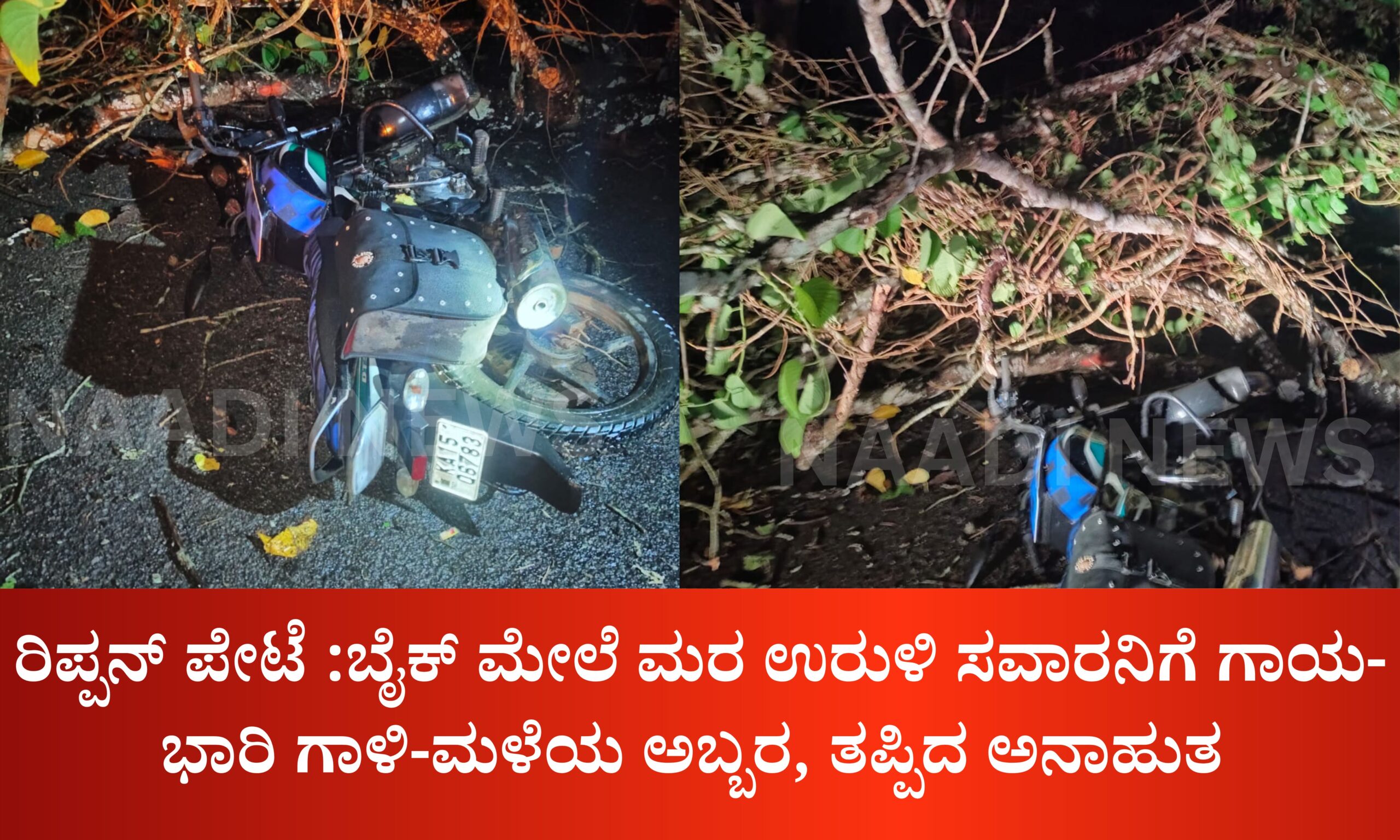 ಬೈಕ್ ಮೇಲೆ ಮರ ಉರುಳಿ ಸವಾರನಿಗೆ ಗಾಯ: ಭಾರಿ ಗಾಳಿ-ಮಳೆಯ ಅಬ್ಬರ, ತಪ್ಪಿದ ಅನಾಹುತ 1 Blue and Red Voter Education Banner 20260324 131112 0000 scaled ಬೈಕ್ ಮೇಲೆ ಮರ ಉರುಳಿ ಸವಾರನಿಗೆ ಗಾಯ: ಭಾರಿ ಗಾಳಿ-ಮಳೆಯ ಅಬ್ಬರ, ತಪ್ಪಿದ ಅನಾಹುತ