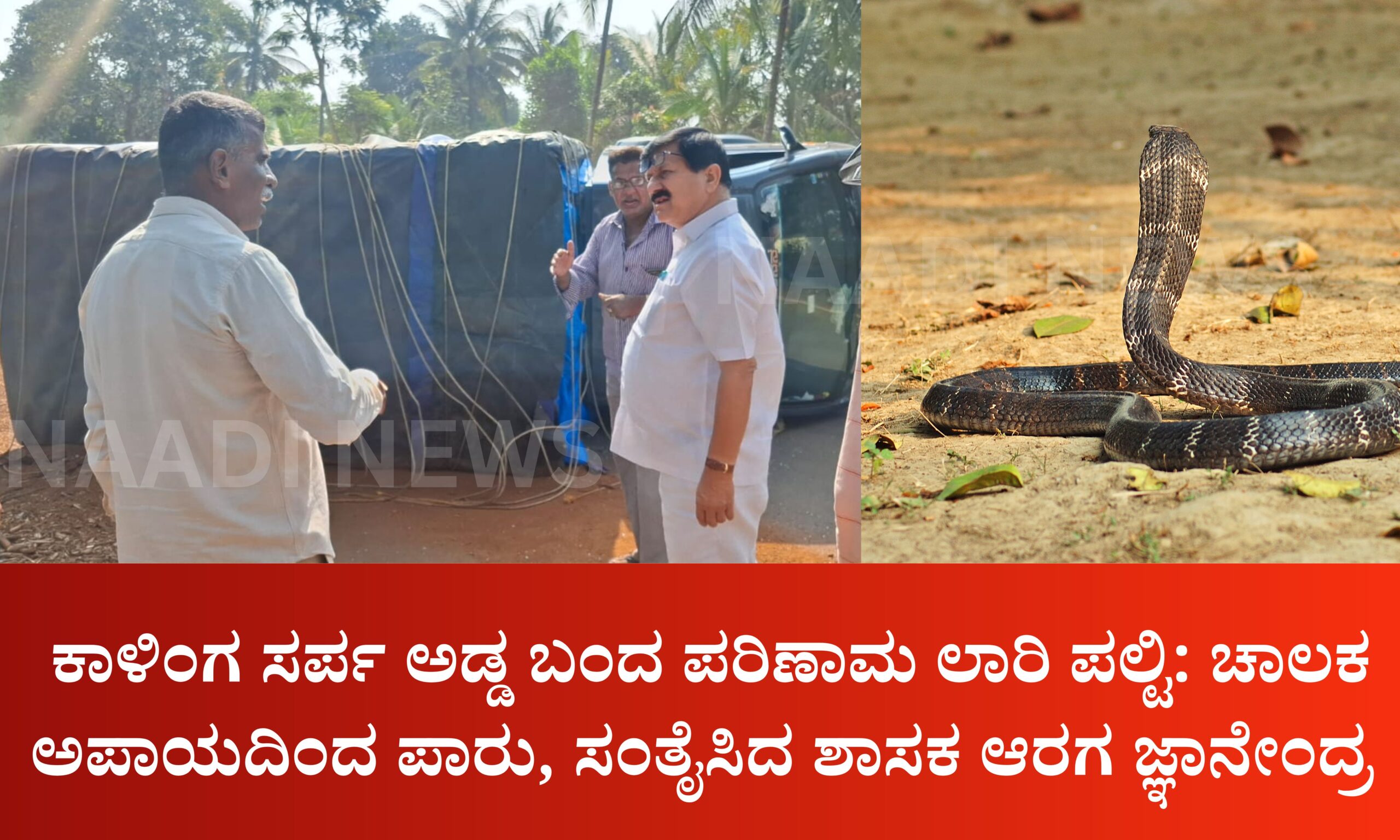 ಕಾಳಿಂಗ ಸರ್ಪ ಅಡ್ಡ ಬಂದ ಪರಿಣಾಮ ಲಾರಿ ಪಲ್ಟಿ: ಚಾಲಕ ಅಪಾಯದಿಂದ ಪಾರು,ಸಂತೈಸಿದಶಾಸಕ ಆರಗ ಜ್ಞಾನೇಂದ್ರ 3 Blue and Red Voter Education Banner 20260328 161635 0000 scaled ಕಾಳಿಂಗ ಸರ್ಪ ಅಡ್ಡ ಬಂದ ಪರಿಣಾಮ ಲಾರಿ ಪಲ್ಟಿ: ಚಾಲಕ ಅಪಾಯದಿಂದ ಪಾರು,ಸಂತೈಸಿದಶಾಸಕ ಆರಗ ಜ್ಞಾನೇಂದ್ರ