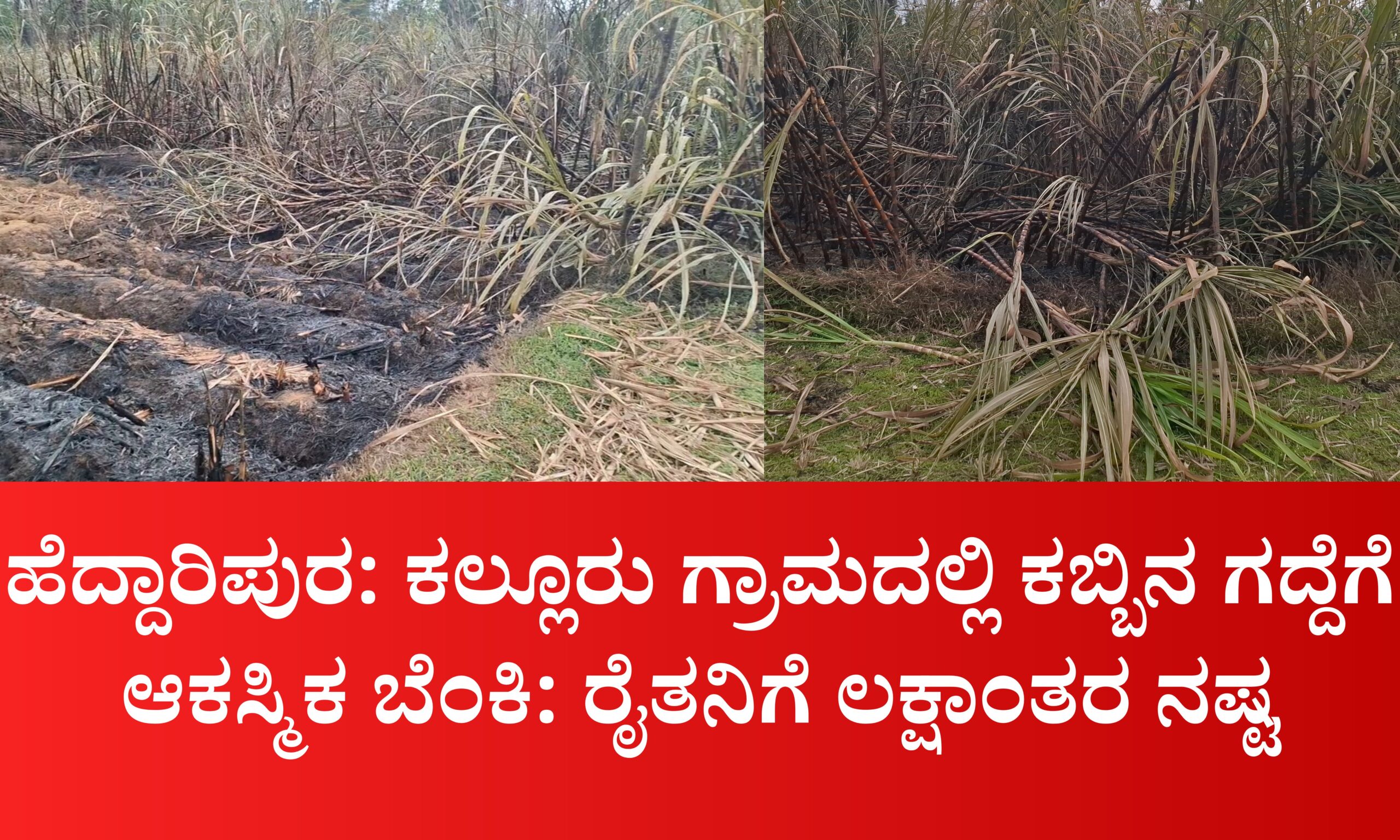 Blue and Red Voter Education Banner 20260329 155507 0000 scaled ಹೆದ್ದಾರಿಪುರ: ಕಲ್ಲೂರು ಗ್ರಾಮದಲ್ಲಿ ಕಬ್ಬಿನ ಗದ್ದೆಗೆ ಆಕಸ್ಮಿಕ ಬೆಂಕಿ: ರೈತನಿಗೆ ಲಕ್ಷಾಂತರ ನಷ್ಟ
