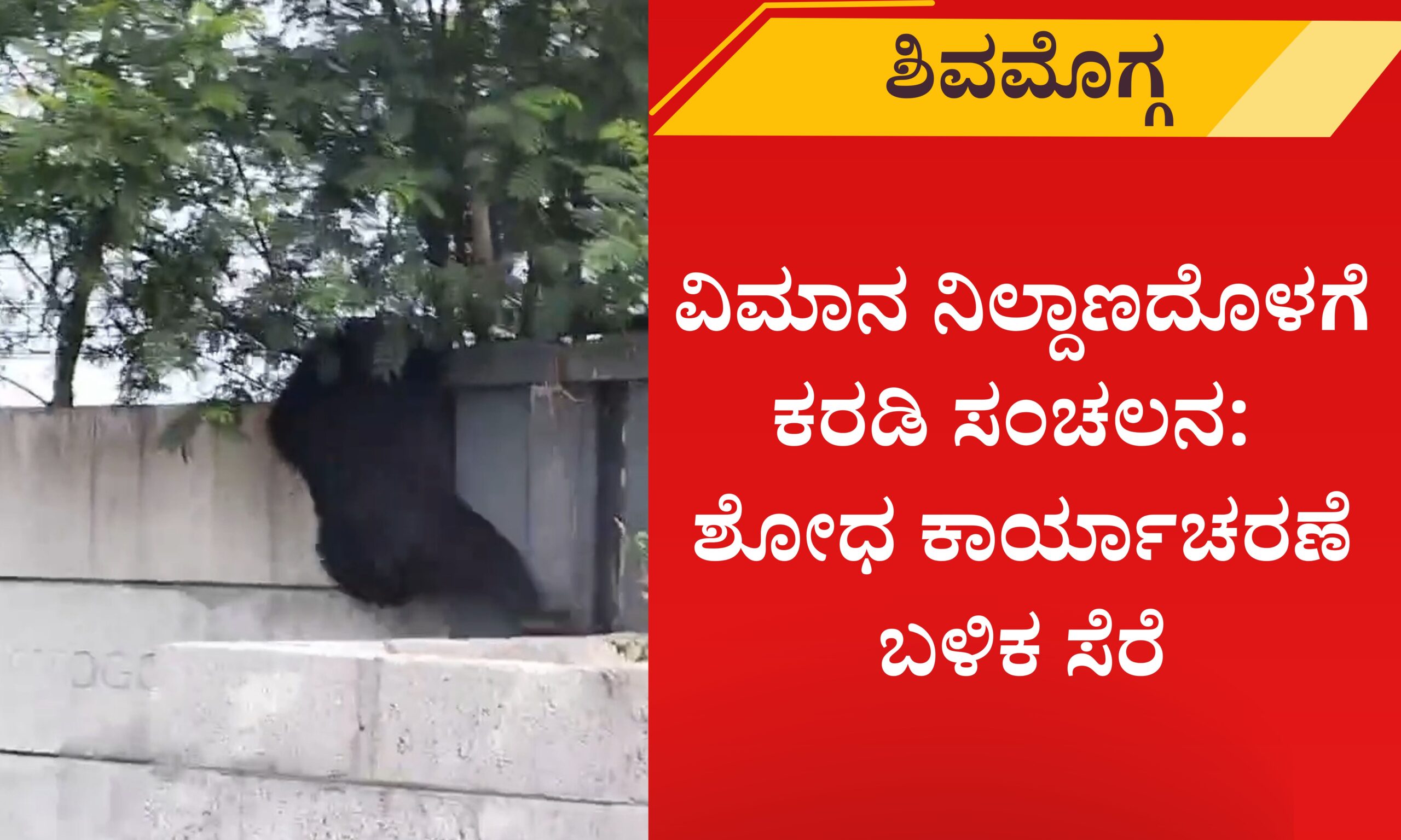 Blue and Red Voter Education Banner 20260330 220003 0000 scaled SHIVAMOGGA : ವಿಮಾನ ನಿಲ್ದಾಣದೊಳಗೆ ಕರಡಿ ಸಂಚಲನ- ಶೋಧ ಕಾರ್ಯಾಚರಣೆ ಬಳಿಕ ಸೆರೆ