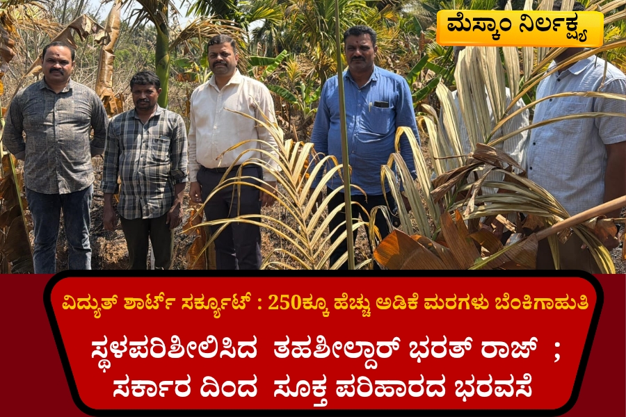 NAADI NEWS 20260306 214335 0000 ಕೋಡೂರು : ವಿದ್ಯುತ್ ಶಾರ್ಟ್ ಸರ್ಕ್ಯೂಟ್ 250 ಕ್ಕೂ ಹೆಚ್ಚು ಅಡಿಕೆ ಮರಗಳು ಬೆಂಕಿಗಾಹುತಿ -ಸ್ಥಳಪರಿಶೀಲಿಸಿದ  ತಹಶೀಲ್ದಾರ್ ಭರತ್ ರಾಜ್