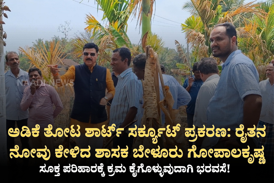 NAADI NEWS 20260315 190142 0000 ಅಡಿಕೆ ತೋಟ ಶಾರ್ಟ್ ಸರ್ಕ್ಯೂಟ್ ಪ್ರಕರಣ: ರೈತನ ನೋವು ಕೇಳಿದ ಶಾಸಕ ಬೇಳೂರು ಗೋಪಾಲಕೃಷ್ಣ
