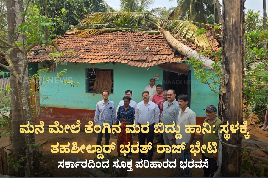 NAADI NEWS 20260316 202542 0000 ಮನೆ ಮೇಲೆ ತೆಂಗಿನ ಮರ ಬಿದ್ದು ಹಾನಿ: ಸ್ಥಳಕ್ಕೆ ತಹಶೀಲ್ದಾರ್ ಭರತ್ ರಾಜ್ ಭೇಟಿ
