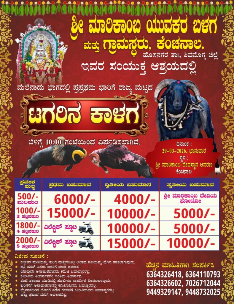 img 20260328 wa00163510409939907384058 ಕೆಂಚನಾಲ: ನಾಳೆ ರಾಜ್ಯ ಮಟ್ಟದ ಟಗರಿನ ಕಾಳಗ, ಮಲೆನಾಡಿನಲ್ಲಿಯೇ ಪ್ರಪ್ರಥಮ ಬಾರಿಗೆ ಆಯೋಜನೆ 