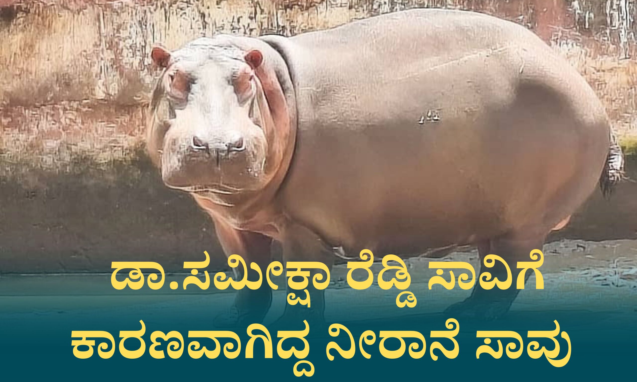 Blue and Red Voter Education Banner 20260414 205043 0000 scaled ಡಾ. ಸಮೀಕ್ಷಾ ರೆಡ್ಡಿ ಸಾವಿಗೆ ಕಾರಣವಾಗಿದ್ದ ನೀರಾನೆ ಸಾವು