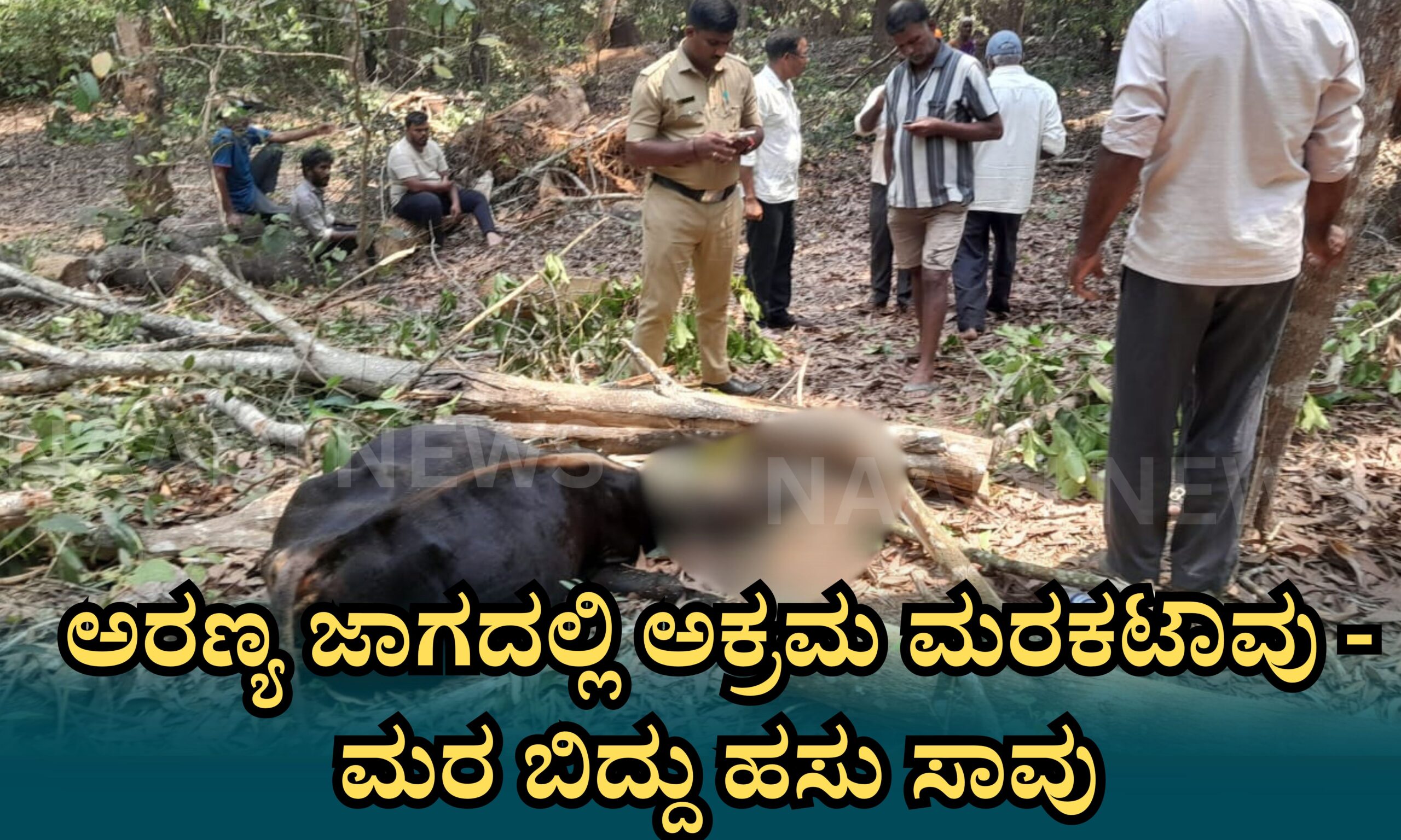 Blue and Red Voter Education Banner 20260415 160624 0000 scaled ಅರಣ್ಯ ಜಾಗದಲ್ಲಿ ಅಕ್ರಮ ಮರಕಟಾವು - ಮರ ಬಿದ್ದು ಹಸು ಸಾವು