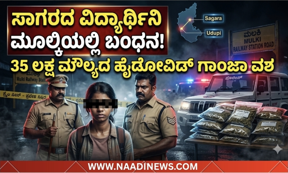 Screenshot 20260513 200944 Canva ಸಾಗರದ ಯುವತಿ ಗಾಂಜಾ ಸಾಗಾಟದಲ್ಲಿ ಅರೆಸ್ಟ್ - ಮೂಲ್ಕಿಯಲ್ಲಿ 35 ಲಕ್ಷ ಮೌಲ್ಯದ ಹೈಡೋವಿಡ್ ಗಾಂಜಾ ಜಪ್ತಿ