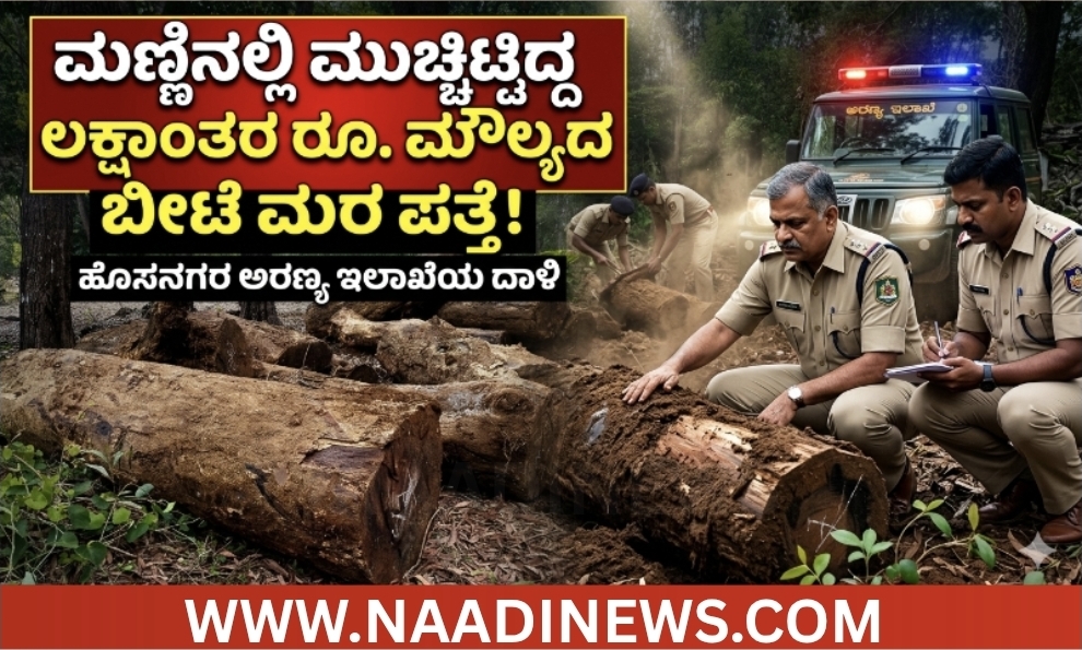 ಅಕ್ರಮವಾಗಿ ಮಣ್ಣಿನಲ್ಲಿ ಮುಚ್ಚಿಟ್ಟಿದ್ದ ಲಕ್ಷಾಂತರ ರೂ. ಮೌಲ್ಯದ 14 ಬೀಟೆ ಮರ ಪತ್ತೆ! 9 Screenshot 20260519 212604 Canva ಅಕ್ರಮವಾಗಿ ಮಣ್ಣಿನಲ್ಲಿ ಮುಚ್ಚಿಟ್ಟಿದ್ದ ಲಕ್ಷಾಂತರ ರೂ. ಮೌಲ್ಯದ 14 ಬೀಟೆ ಮರ ಪತ್ತೆ!