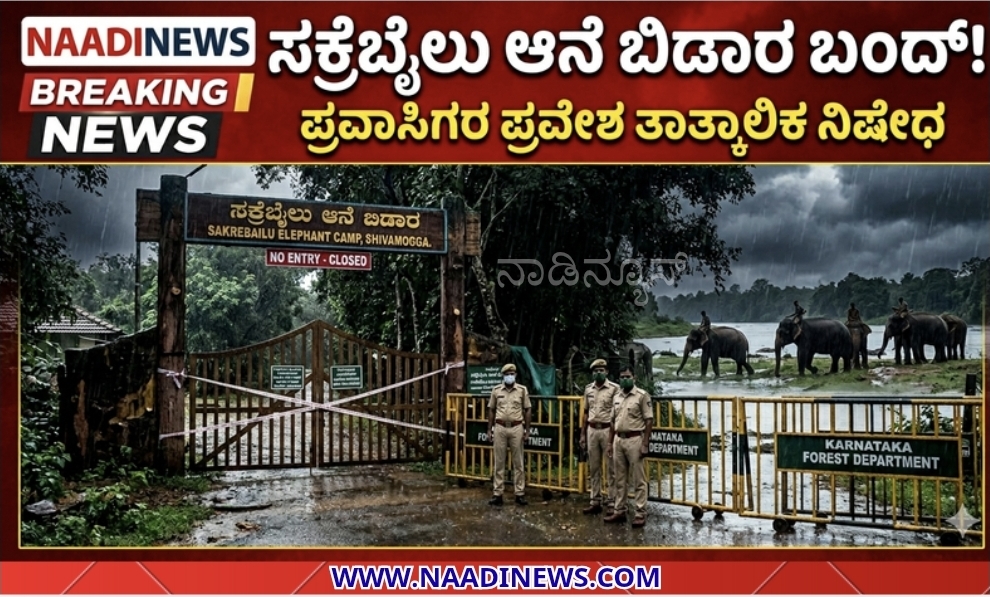 ಸಕ್ರೆಬೈಲು ಆನೆ ಬಿಡಾರಕ್ಕೆ ಸಾರ್ವಜನಿಕರ ಪ್ರವೇಶ ತಾತ್ಕಾಲಿಕ ಬಂದ್ : ಅರಣ್ಯ ಇಲಾಖೆ ಆದೇಶ 12 Screenshot 20260521 203415 Canva ಸಕ್ರೆಬೈಲು ಆನೆ ಬಿಡಾರಕ್ಕೆ ಸಾರ್ವಜನಿಕರ ಪ್ರವೇಶ ತಾತ್ಕಾಲಿಕ ಬಂದ್ : ಅರಣ್ಯ ಇಲಾಖೆ ಆದೇಶ
