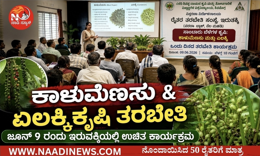 ಇರುವಕ್ಕಿಯ ಕೆಳದಿ ಶಿವಪ್ಪನಾಯಕ ಕೃಷಿ ಮತ್ತು ತೋಟಗಾರಿಕೆ ವಿಜ್ಞಾನಗಳ ವಿಶ್ವವಿದ್ಯಾಲಯ ವತಿಯಿಂದ " ಕಾಳುಮೆಣಸು ಮತ್ತು ಏಲಕ್ಕಿ ಕೃಷಿ" ಕುರಿತು ತರಬೇತಿ 1 Screenshot 20260606 162407 Canva ಇರುವಕ್ಕಿಯ ಕೆಳದಿ ಶಿವಪ್ಪನಾಯಕ ಕೃಷಿ ಮತ್ತು ತೋಟಗಾರಿಕೆ ವಿಜ್ಞಾನಗಳ ವಿಶ್ವವಿದ್ಯಾಲಯ ವತಿಯಿಂದ " ಕಾಳುಮೆಣಸು ಮತ್ತು ಏಲಕ್ಕಿ ಕೃಷಿ" ಕುರಿತು ತರಬೇತಿ