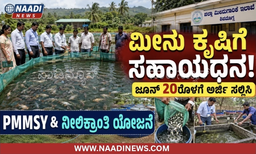 Screenshot 20260616 212317 Canva ಪ್ರಧಾನ ಮಂತ್ರಿ ಮತ್ಸ್ಯಸಂಪದ/ನೀಲಿಕ್ರಾಂತಿ ಯೋಜನೆಯಡಿ ಸಹಾಯಧನಕ್ಕೆ ಅರ್ಜಿ ಆಹ್ವಾನ