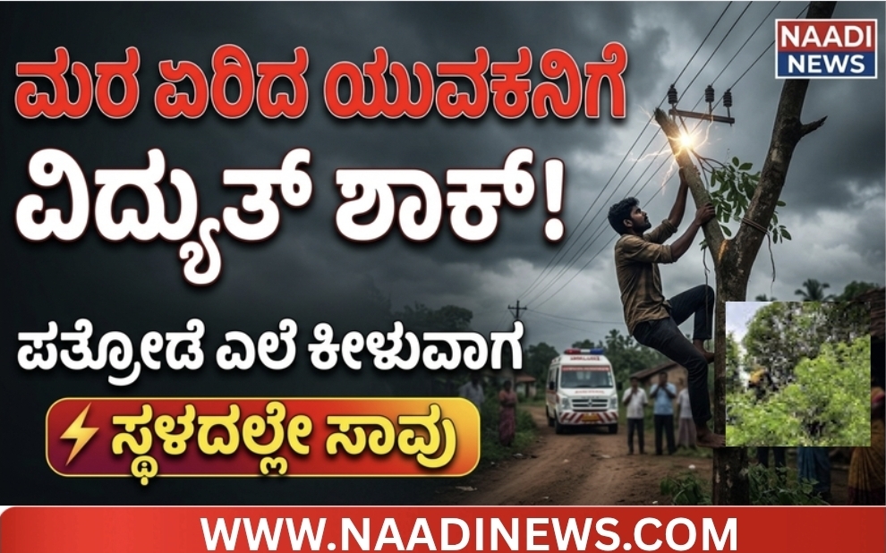 ತೀರ್ಥಹಳ್ಳಿ: ಪತ್ರೋಡೆ ಎಲೆ ಕೀಳಲು ಮರ ಏರಿದ್ದ ಯುವಕ ವಿದ್ಯುತ್ ಶಾಕ್ಗೆ ಬಲಿ, ಇತ್ತೀಚೆಗಷ್ಟೇ ವಿವಾಹವಾಗಿದ್ದ ಅಭಿಷೇಕ್ ಶೆಟ್ಟಿ 2 Screenshot 20260626 185608 Canva ತೀರ್ಥಹಳ್ಳಿ: ಪತ್ರೋಡೆ ಎಲೆ ಕೀಳಲು ಮರ ಏರಿದ್ದ ಯುವಕ ವಿದ್ಯುತ್ ಶಾಕ್ಗೆ ಬಲಿ, ಇತ್ತೀಚೆಗಷ್ಟೇ ವಿವಾಹವಾಗಿದ್ದ ಅಭಿಷೇಕ್ ಶೆಟ್ಟಿ