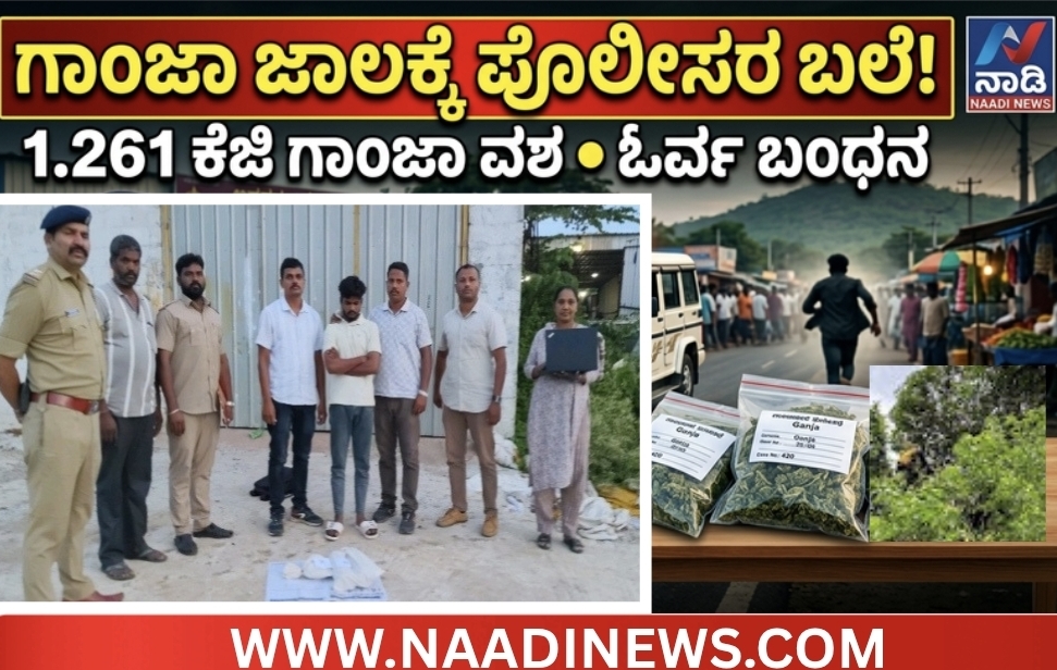 Screenshot 20260626 205027 Canva ಶಿವಮೊಗ್ಗದಲ್ಲಿ ಗಾಂಜಾ ಮಾರಾಟ ಜಾಲಕ್ಕೆ ದೊಡ್ಡಪೇಟೆ ಪೊಲೀಸರ ಬಲೆ; ಓರ್ವ ಬಂಧನ, ₹65 ಸಾವಿರ ಮೌಲ್ಯದ ಗಾಂಜಾ ವಶ!