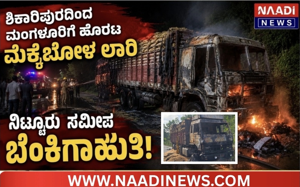 ಶಿಕಾರಿಪುರದಿಂದ ಮಂಗಳೂರಿಗೆ ಹೊರಟ ಮೆಕ್ಕೆಜೋಳ ಲಾರಿ ನಿಟ್ಟೂರು ಸಮೀಪ ಬೆಂಕಿಗಾಹುತಿ! 5 Screenshot 20260627 100521 Canva ಶಿಕಾರಿಪುರದಿಂದ ಮಂಗಳೂರಿಗೆ ಹೊರಟ ಮೆಕ್ಕೆಜೋಳ ಲಾರಿ ನಿಟ್ಟೂರು ಸಮೀಪ ಬೆಂಕಿಗಾಹುತಿ!