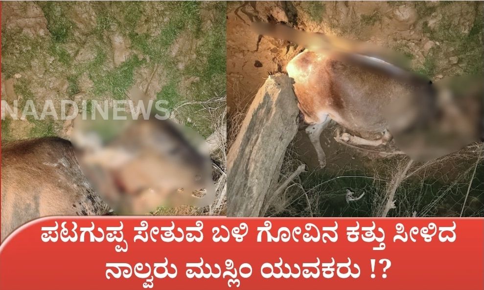 screenshot 20260620 113534 canva8653749529997490005 ಪಟಗುಪ್ಪ ಸೇತುವೆ ಗೋಹಂತಕರ ಸಾಮ್ರಾಜ್ಯ? ಮಲೆನಾಡನ್ನೆ ಬೆಚ್ಚಿಬೀಳಿಸುವ ಶರಾವತಿ ಗೊಹಂತಕರ ಜಾಲ !!!