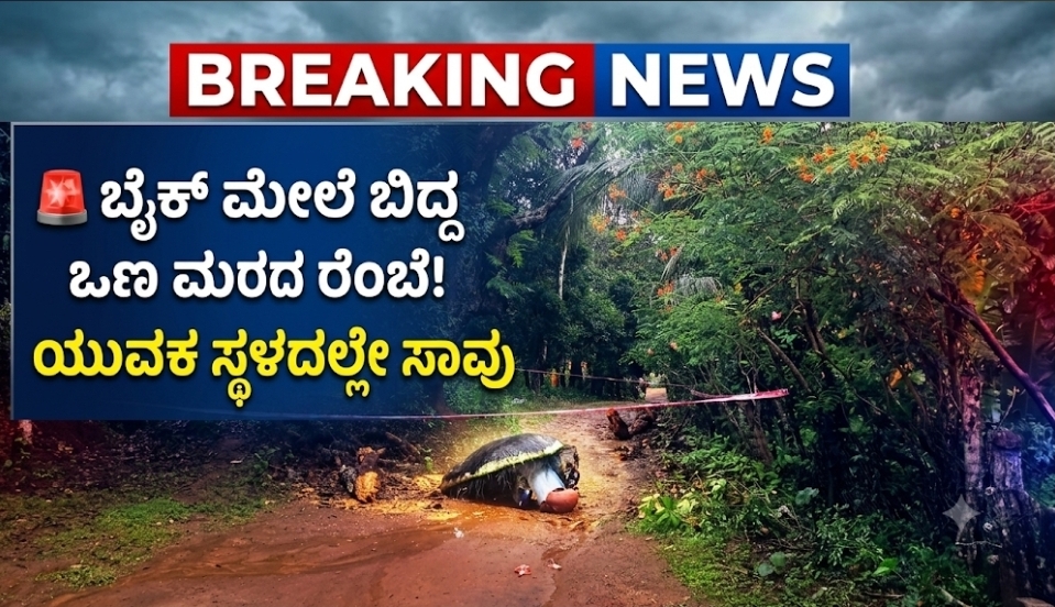 ಗರ್ತಿಕೆರೆ ಬಳಿ ದುರಂತ; ಬೈಕ್ ಮೇಲೆ ಮರದ ರೆಂಬೆ ಬಿದ್ದು ಯುವಕ ಸಾವು, ಮತ್ತೋರ್ವ ಗಂಭೀರ 3 1002553753 ಗರ್ತಿಕೆರೆ ಬಳಿ ದುರಂತ; ಬೈಕ್ ಮೇಲೆ ಮರದ ರೆಂಬೆ ಬಿದ್ದು ಯುವಕ ಸಾವು, ಮತ್ತೋರ್ವ ಗಂಭೀರ