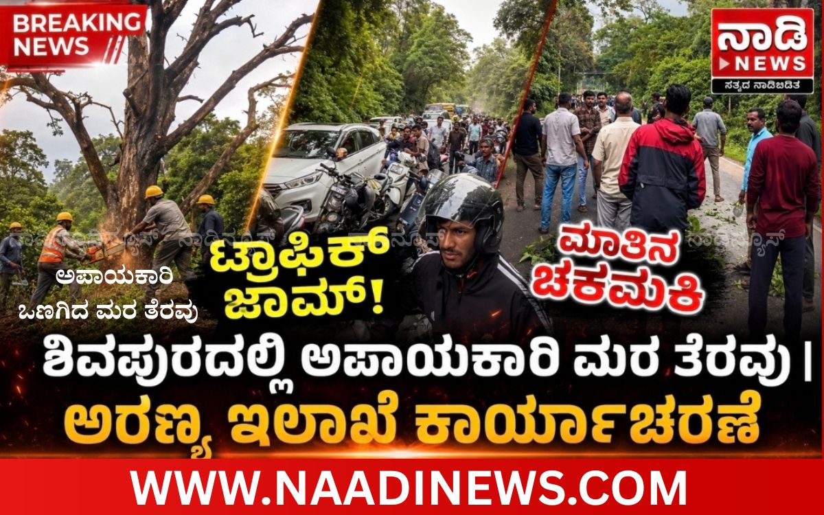 ಶಿವಪುರದಲ್ಲಿ ಅಪಾಯಕಾರಿ ಮರ ತೆರವು; ಕೆಲಕಾಲ ಟ್ರಾಫಿಕ್ ಜಾಮ್ | ಸಿಬ್ಬಂದಿ-ಸಾರ್ವಜನಿಕರ ನಡುವೆ ಮಾತಿನ ಚಕಮಕಿ! 5 3 20260710 202626 0002 ಶಿವಪುರದಲ್ಲಿ ಅಪಾಯಕಾರಿ ಮರ ತೆರವು; ಕೆಲಕಾಲ ಟ್ರಾಫಿಕ್ ಜಾಮ್ | ಸಿಬ್ಬಂದಿ-ಸಾರ್ವಜನಿಕರ ನಡುವೆ ಮಾತಿನ ಚಕಮಕಿ!