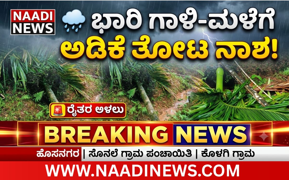 ಸೊನಲೆ :ಭಾರಿ ಗಾಳಿ-ಮಳೆಗೆ ಅಡಿಕೆ ತೋಟಕ್ಕೆ ಹಾನಿ; ಸೂಕ್ತ ಪರಿಹಾರ ಸಿಗುತ್ತಿಲ್ಲವೆಂದು ರೈತರ ಅಳಲು 10 Add a heading 20260706 172827 0000 ಸೊನಲೆ :ಭಾರಿ ಗಾಳಿ-ಮಳೆಗೆ ಅಡಿಕೆ ತೋಟಕ್ಕೆ ಹಾನಿ; ಸೂಕ್ತ ಪರಿಹಾರ ಸಿಗುತ್ತಿಲ್ಲವೆಂದು ರೈತರ ಅಳಲು