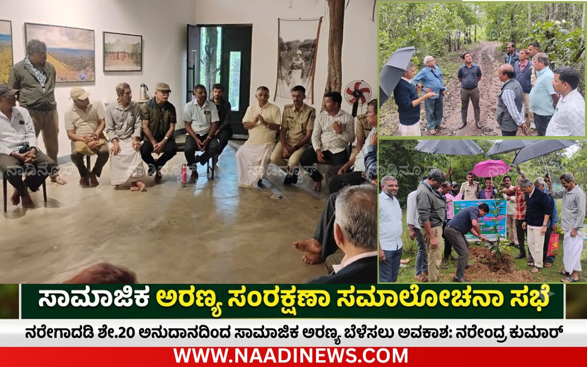 ಸಾಮಾಜಿಕ ಅರಣ್ಯ ಸಂರಕ್ಷಣಾ ಸಮಾಲೋಚನಾ ಸಭೆ -ನರೇಗಾದಡಿ ಶೇ.20 ಅನುದಾನದಿಂದ ಸಾಮಾಜಿಕ ಅರಣ್ಯ ಬೆಳೆಸಲು ಅವಕಾಶ: ನರೇಂದ್ರ ಕುಮಾರ್ 6 Add a heading 20260708 204318 0000 ಸಾಮಾಜಿಕ ಅರಣ್ಯ ಸಂರಕ್ಷಣಾ ಸಮಾಲೋಚನಾ ಸಭೆ -ನರೇಗಾದಡಿ ಶೇ.20 ಅನುದಾನದಿಂದ ಸಾಮಾಜಿಕ ಅರಣ್ಯ ಬೆಳೆಸಲು ಅವಕಾಶ: ನರೇಂದ್ರ ಕುಮಾರ್