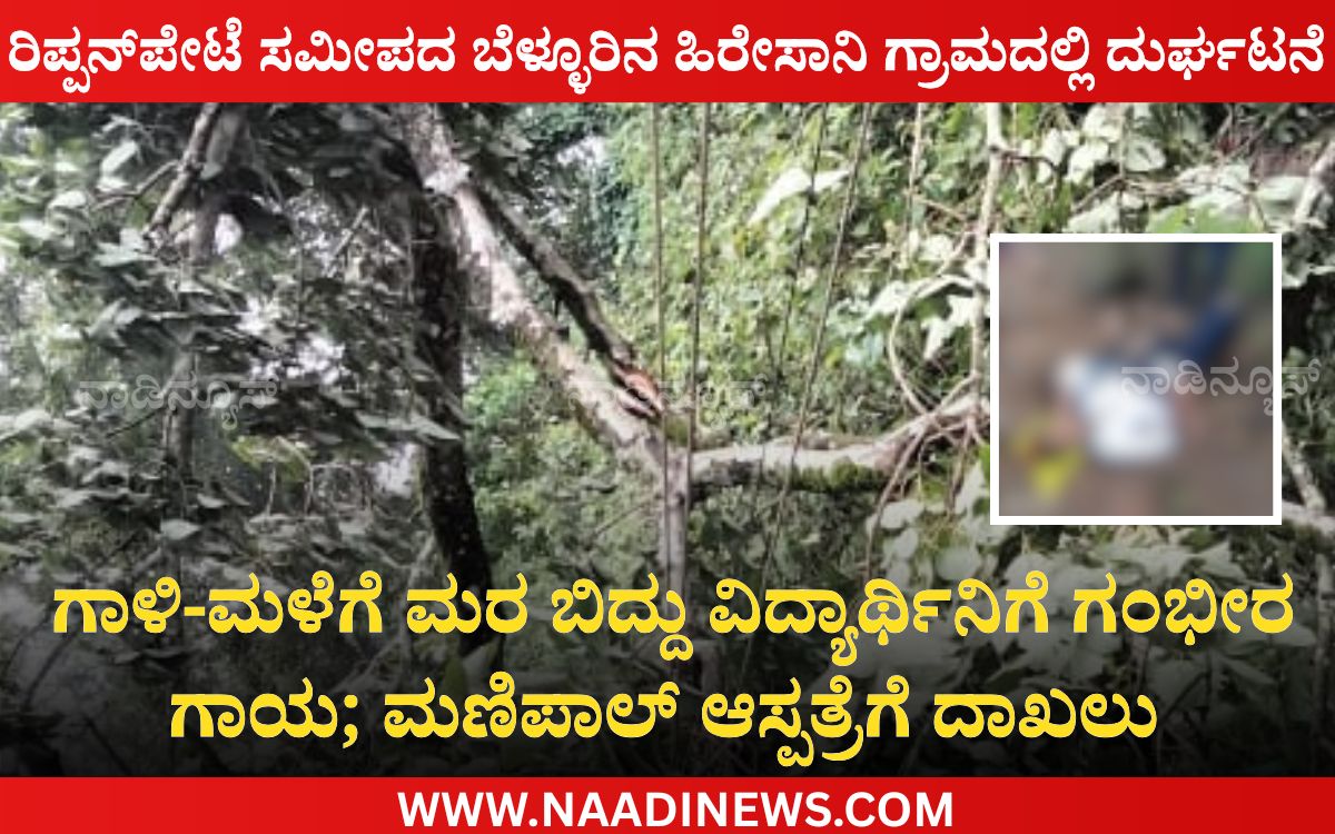 Add a heading 20260725 172639 0000 ರಿಪ್ಪನ್‌ಪೇಟೆ ಸಮೀಪ ಹಿರೇಸಾನಿ ಗ್ರಾಮದಲ್ಲಿ ದುರ್ಘಟನೆ |ಗಾಳಿ-ಮಳೆಗೆ ಮರ ಬಿದ್ದು ವಿದ್ಯಾರ್ಥಿನಿಗೆ ಗಂಭೀರ ಗಾಯ; ಮಣಿಪಾಲ್ ಆಸ್ಪತ್ರೆಗೆ ದಾಖಲು