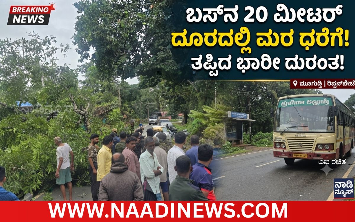 Addaheading 20260808 141850 0000 ರಿಪ್ಪನ್‌ಪೇಟೆ: ಮೂಗುಡ್ತಿಯಲ್ಲಿ ಧರೆಗುರುಳಿದ ಬೃಹತ್ ಮರ; ತಪ್ಪಿದ ಭಾರೀ ದುರಂತ