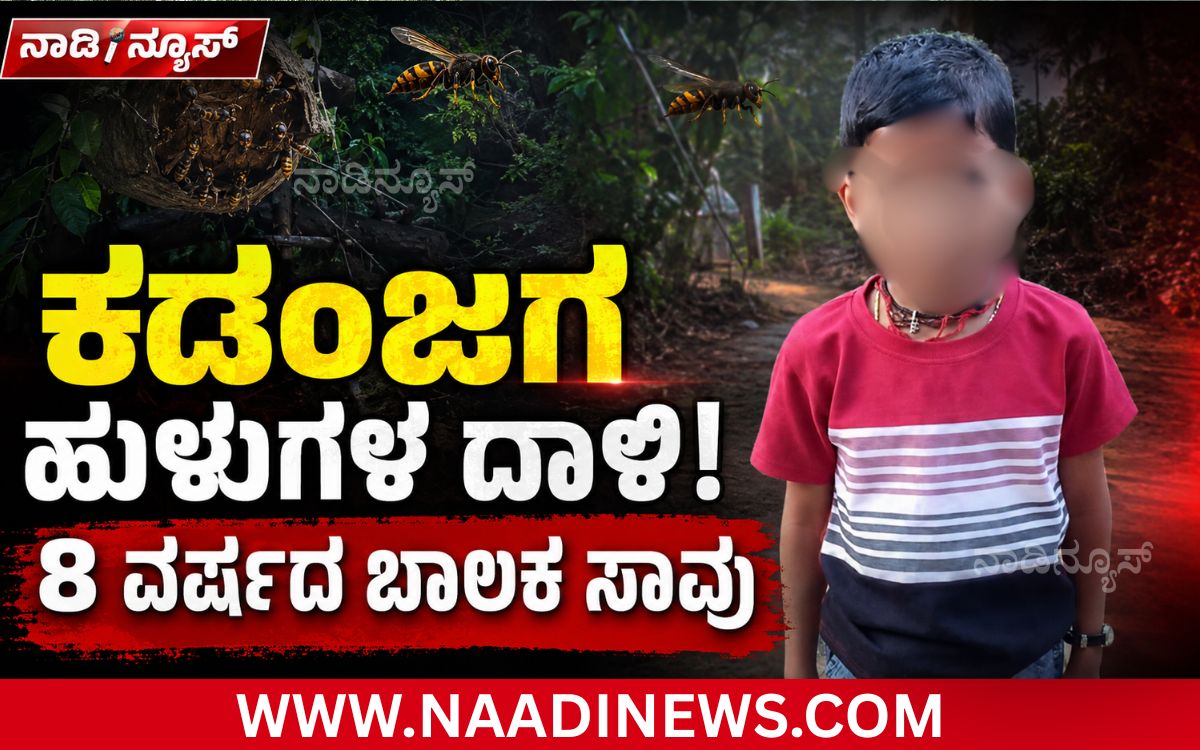 Addaheading 20260814 195957 0000 ಸಾಗರ|ಕಡಂಜಗ ಹುಳುಗಳ ದಾಳಿ: ಚಿಕಿತ್ಸೆ ಫಲಿಸದೆ 8 ವರ್ಷದ ಬಾಲಕ ಸಾ*ವು
