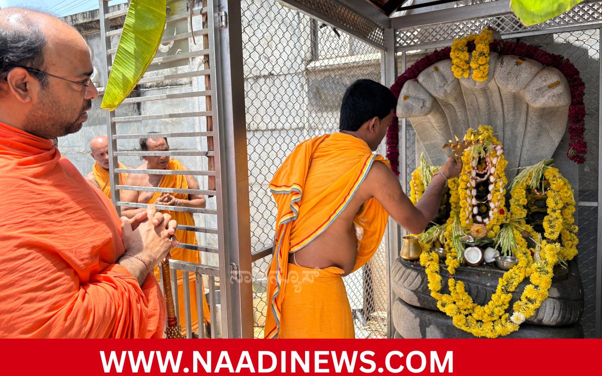 Addaheading 20260817 201127 0000 ಹೊಂಬುಜದಲ್ಲಿ ನಾಗರ ಪಂಚಮಿ ಆಚರಣೆ: ಜಗದ್ಗುರು ದೇವೇಂದ್ರಕೀರ್ತಿ ಭಟ್ಟಾರಕ ಸ್ವಾಮೀಜಿಗಳಿಂದ ವಿಶೇಷ ನಾಗಾರಾಧನೆ