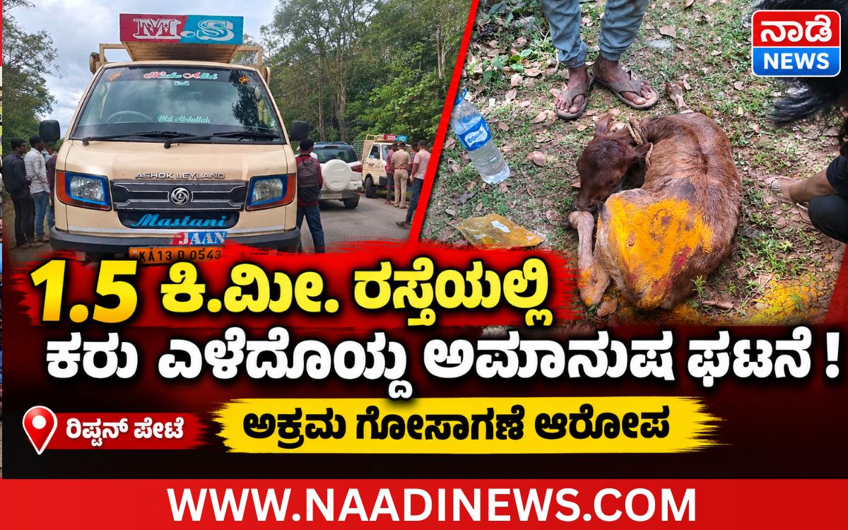 Addaheading 20260910 183726 0000 ರಿಪ್ಪನ್ ಪೇಟೆ :ಅಕ್ರಮ ಗೋಸಾಗಣೆ ಆರೋಪ|ಮೂಗುಡ್ತಿ ಬಳಿ 1.5 ಕಿಲೋಮೀಟರ್ ರಸ್ತೆಯಲ್ಲಿ ಕರು ಎಳೆದೊಯ್ದ ಅಮಾನವೀಯ ಘಟನೆ; ಗ್ರಾಮಸ್ಥರ ಆಕ್ರೋಶ