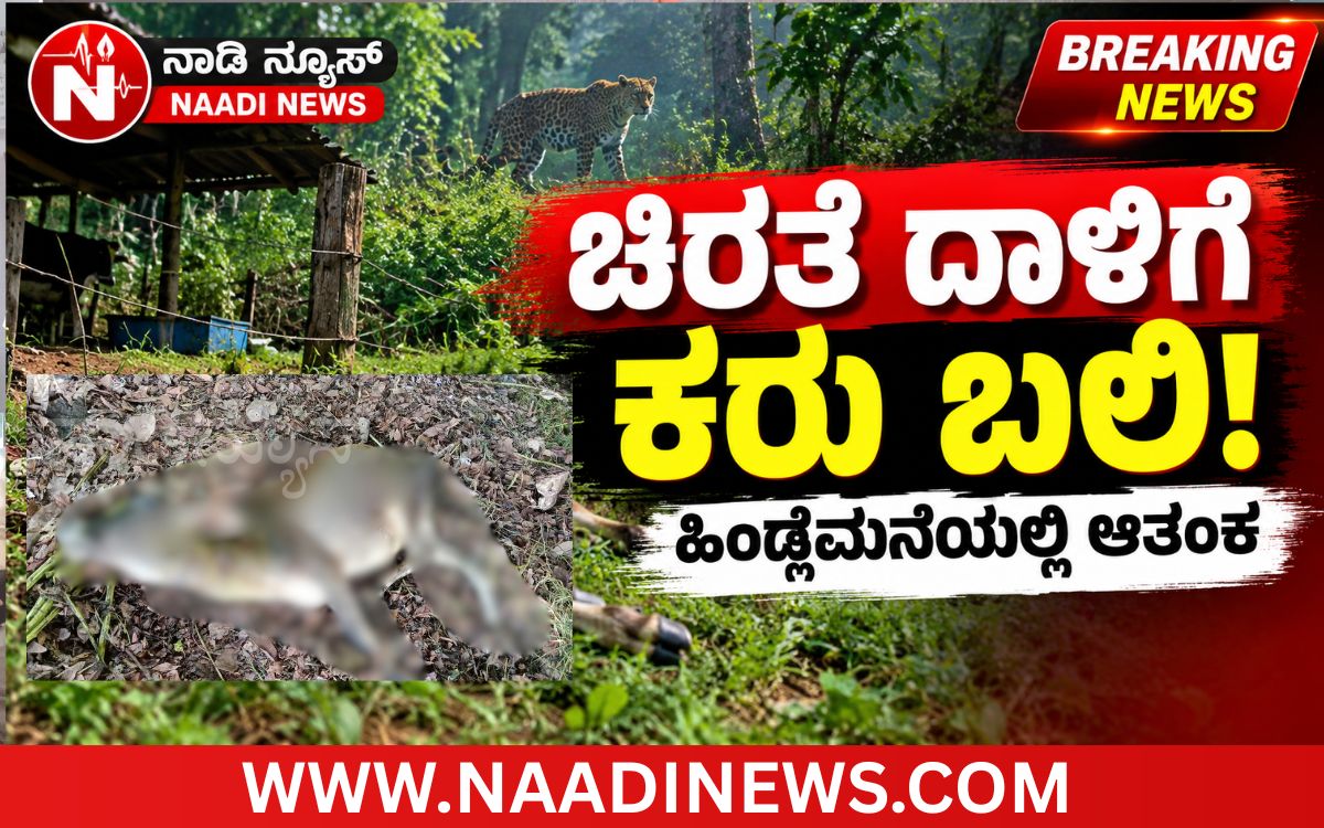 Addaheading 20261004 190750 0000 ಕೋಡೂರು :ಚಿರತೆ ದಾಳಿಗೆ ಕರು ಬಲಿ; ಹಿಂಡ್ಲೆಮನೆಯಲ್ಲಿ ಹೆಚ್ಚಿದ ಆತಂಕ